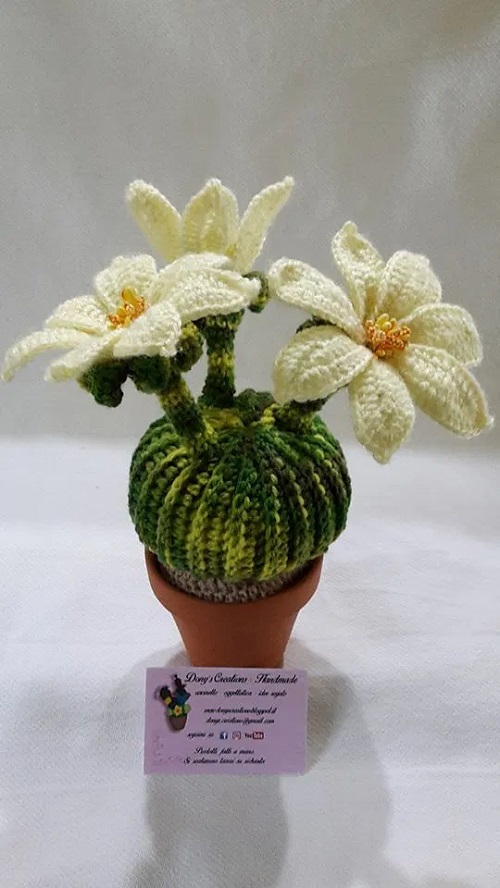 Crochet flower Cactus 3