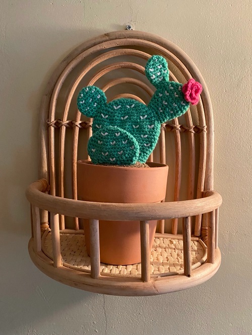 Crochet flower Cactus 4