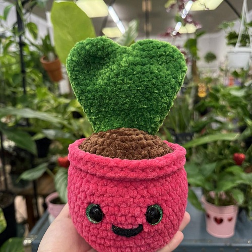 Crochet Hoya Heart Plant Free pattern 4