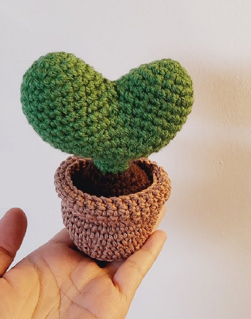 Crochet Hoya Heart Plant 2