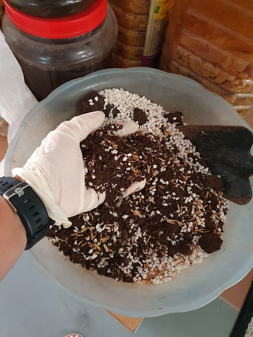 Potting Mix