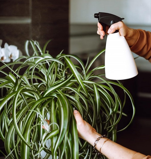 Boost it with coffee