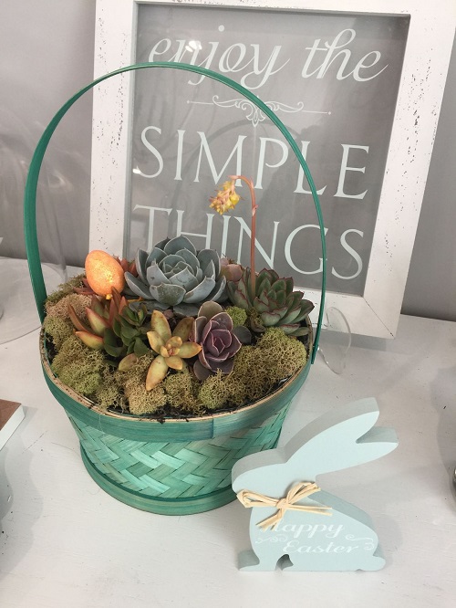 Succulent Gift Basket 2