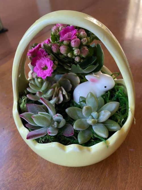 Succulent Basket ideas 3