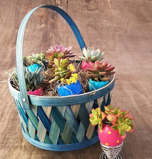 Succulent Easter Basket Gift Ideas 5