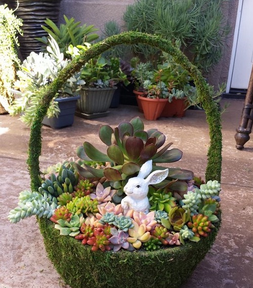 Succulent Gift Basket 3
