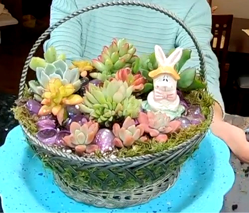 Succulent Easter Basket Gift Ideas 3