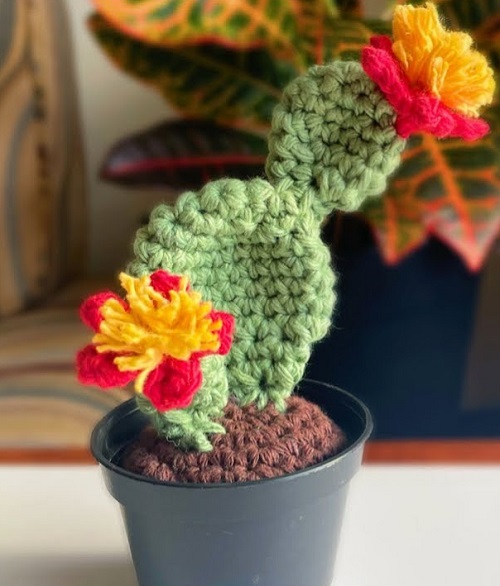 crochet Bunny Ears Cactus 1