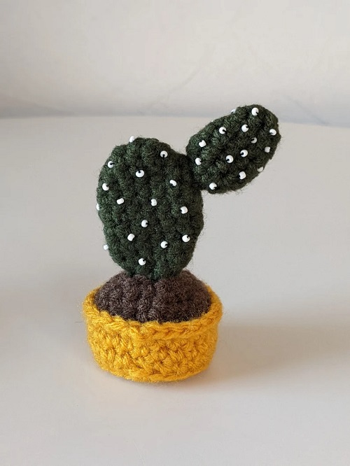 unique crochet Cactus