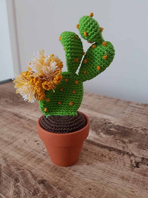unique crochet Cactus 3