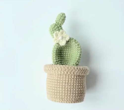 crochet Bunny Ears Cactus 2