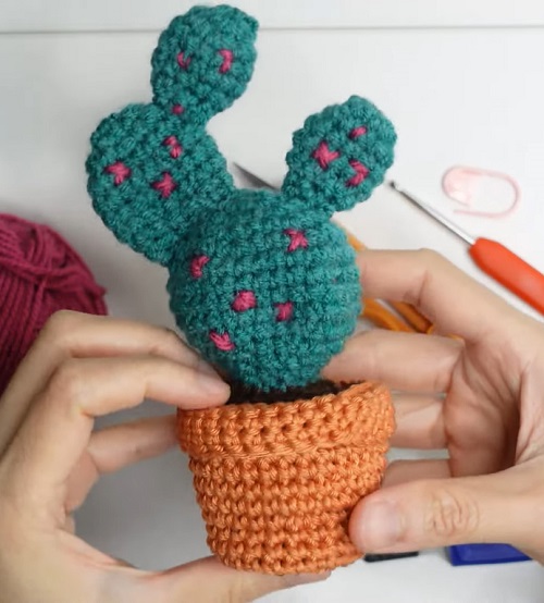 crochet Bunny Ears Cactus 4
