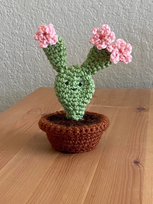 crochet Bunny Ears Cactus 5