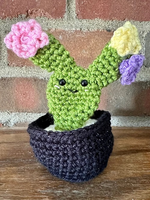 easy to make crochet Bunny Ears Cactus 3