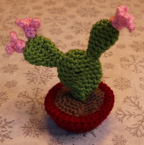 crochet Bunny Ears Cactus 3