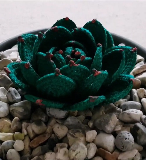 Crochet Hens and Chicks Succulent 1