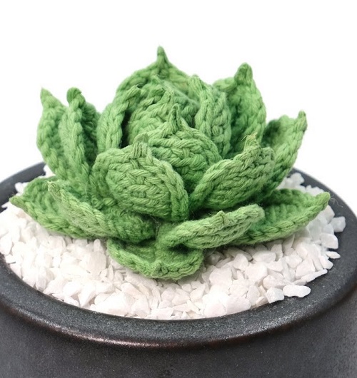 Crochet Hens and Chicks Succulent 2