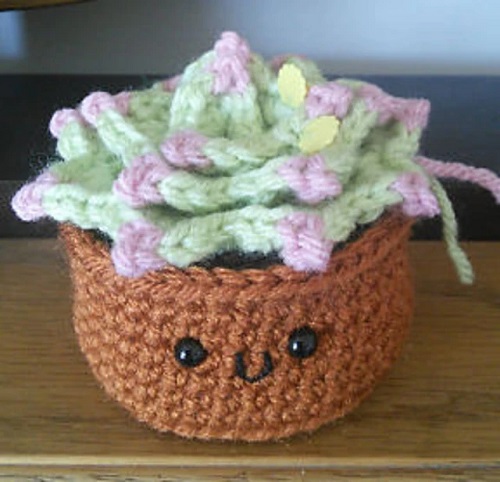 Crochet Hens and Chicks Succulent 3