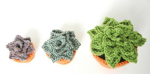 Crochet Hens and Chicks Succulent 4