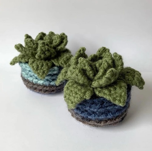 DIY Crochet Hens and Chicks Succulent pattern 2