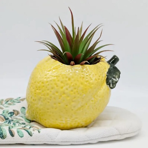 easy to make Fruit planter 3