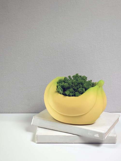 Fruit succulent planter 3