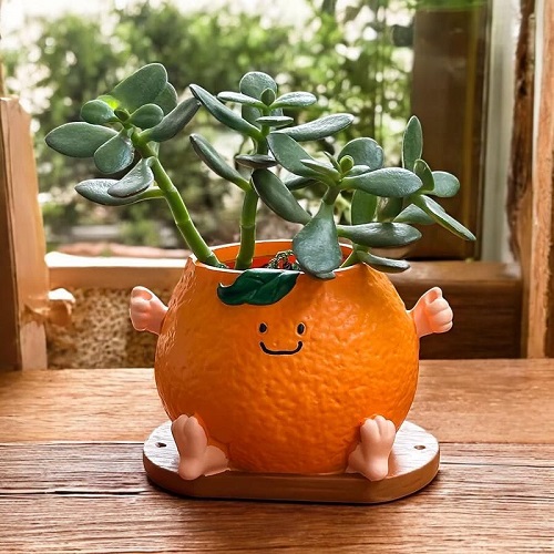 Fruit succulent planter 4
