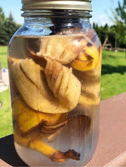 Banana Peel Tea