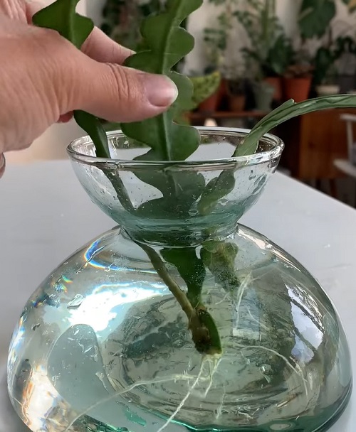 Provide the Right Environment