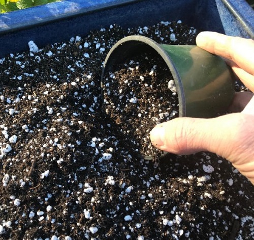 soil mix