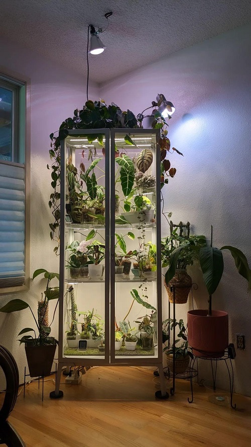 Small Space Plant Decor Ideas