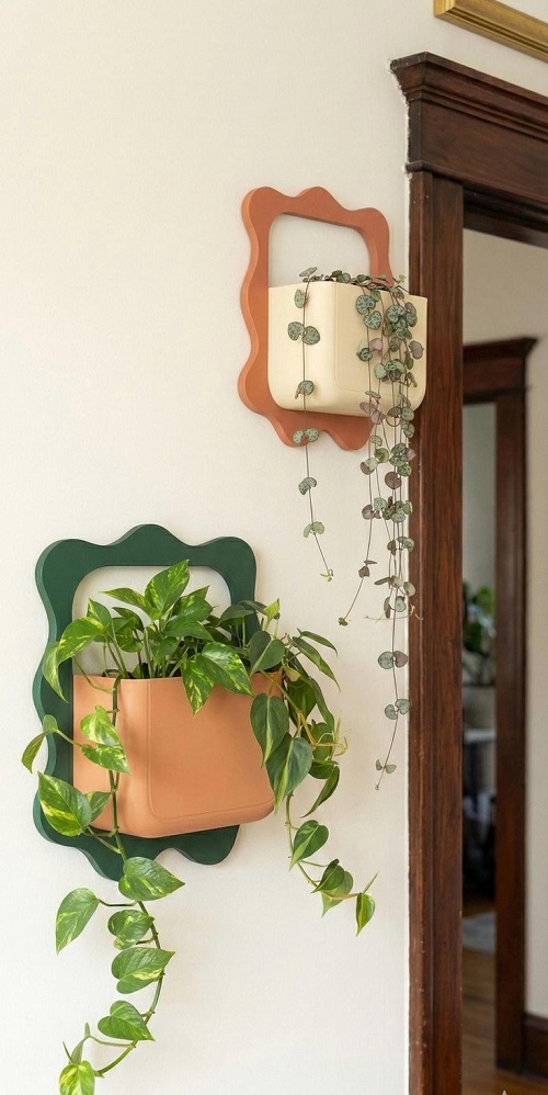 beautiful plants display ideas