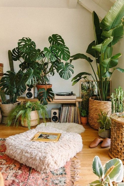 beautiful plants display ideas 2