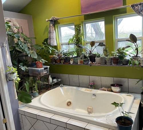 Small Space Plant Decor Ideas 3