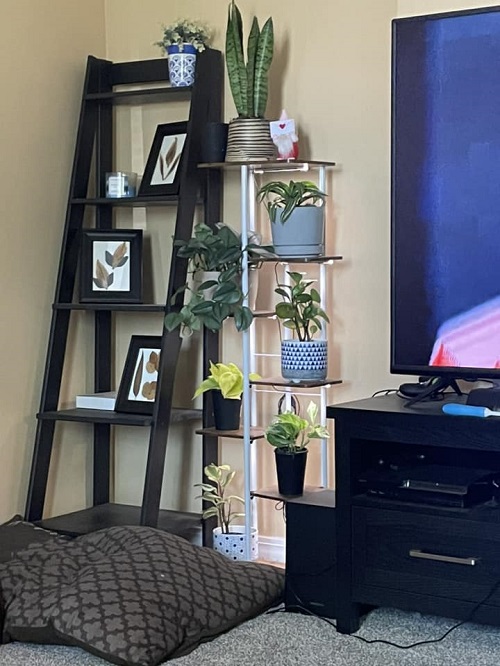 Small Space Plant Decor Ideas 4