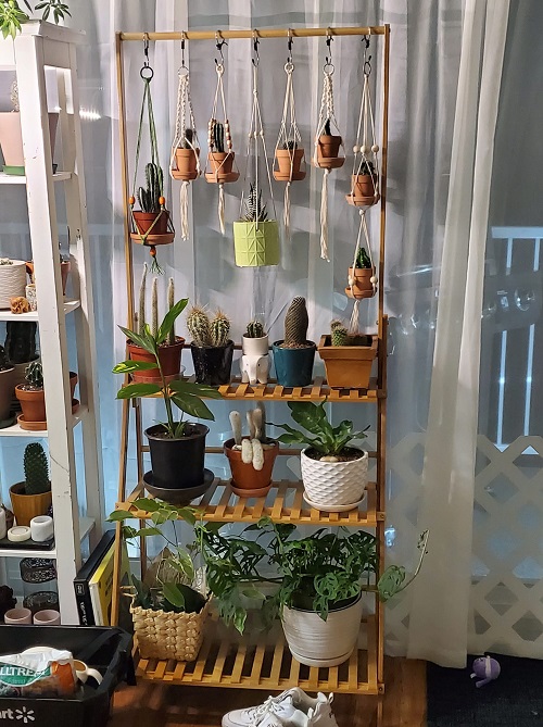 Small Space Plant Decor Ideas 5