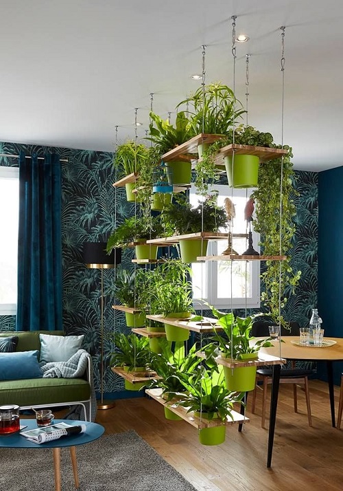 Small Space Plant apartment decor 