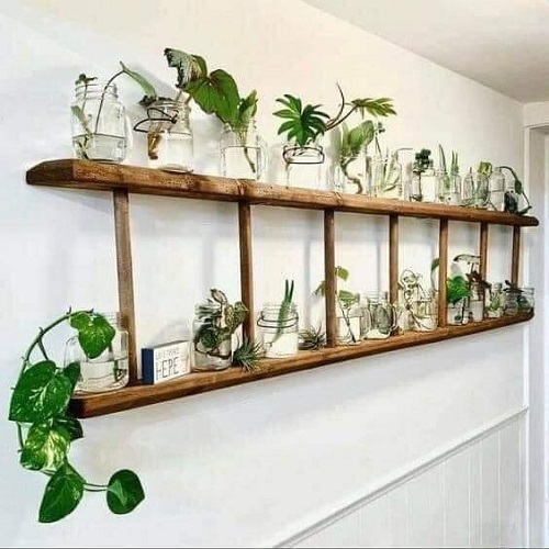 Small Space Plant apartment decor  3