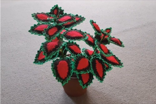 easy to make Crochet Coleus Plant 2