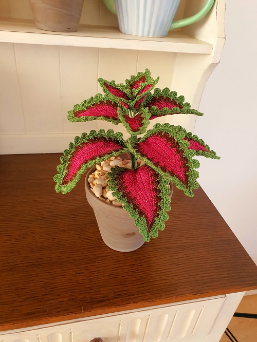 easy to make Crochet Coleus Plant 3