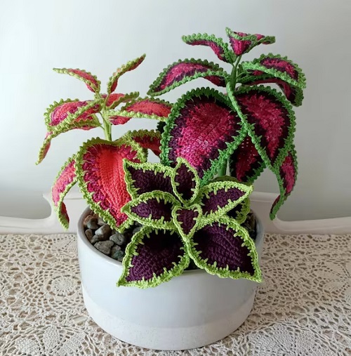 easy to make Crochet Coleus Plant 4