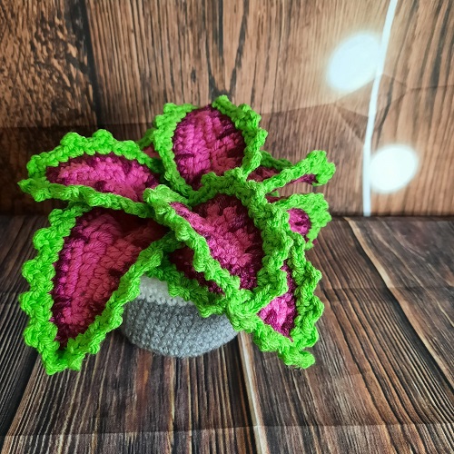 beautiful Crochet Coleus Plant