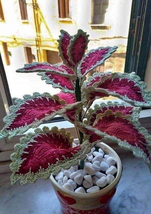beautiful Crochet Coleus Plant 2