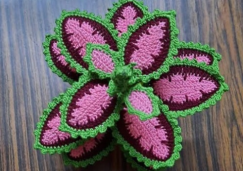 Crochet Coleus Plant free pattern 4