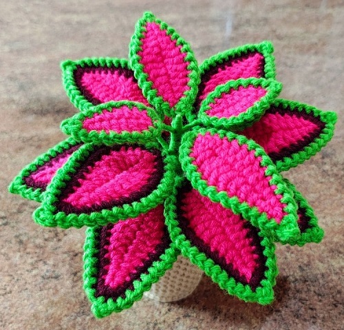 DIY Crochet Coleus Plant