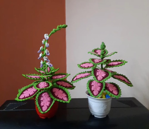 DIY Crochet Coleus Plant 2
