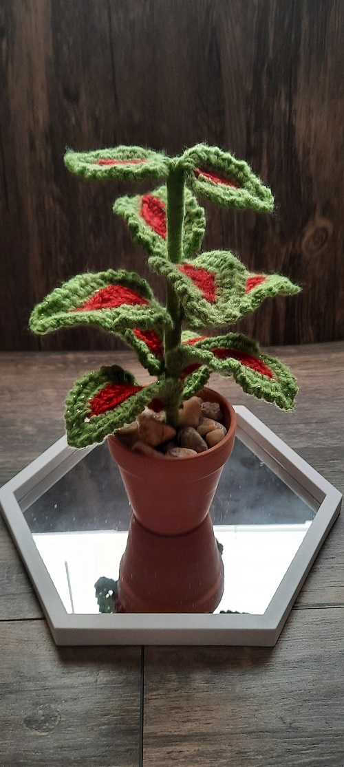 DIY Crochet Coleus Plant 3