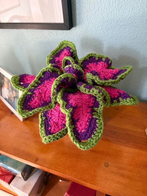 DIY Crochet Coleus Plant 4