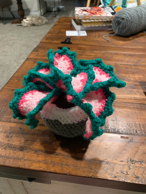 easy to make Crochet Coleus Plant