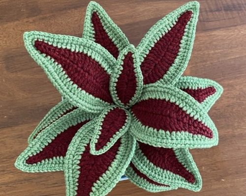 Crochet Coleus Plant free pattern 2
